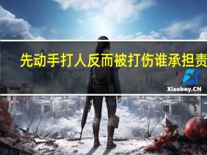 先动手打人反而被打伤谁承担责任