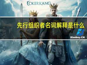 先行组织者名词解释是什么