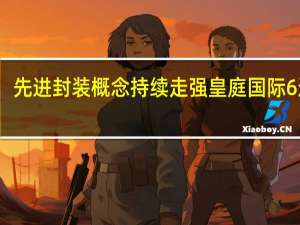 先进封装概念持续走强 皇庭国际6连板