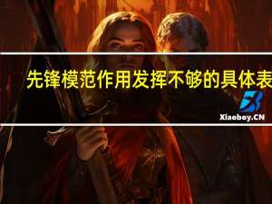 先锋模范作用发挥不够的具体表现（发挥先锋模范作用方面存在的问题）