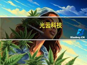 光云科技：目前未开展算力租赁的业务