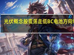 光伏概念股震荡走低 BC电池方向领跌