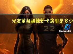 光友 苗条酸辣粉卡路里是多少