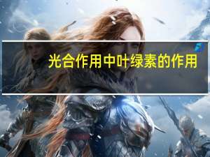 光合作用中叶绿素的作用