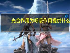 光合作用为呼吸作用提供什么