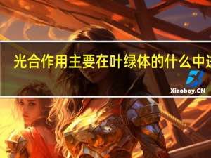光合作用主要在叶绿体的什么中进行
