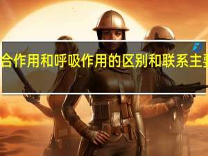 光合作用和呼吸作用的区别和联系主要有哪些