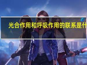 光合作用和呼吸作用的联系是什么