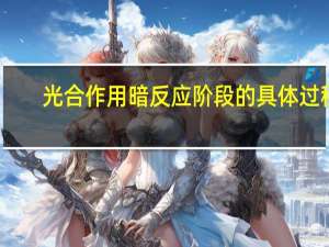 光合作用暗反应阶段的具体过程