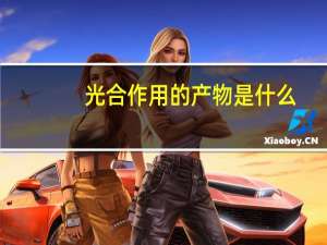 光合作用的产物是什么