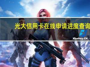 光大信用卡在线申请进度查询（光大信用卡申请进度在哪查询）