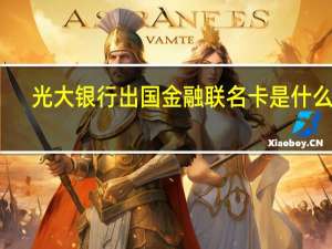 光大银行出国金融联名卡是什么卡