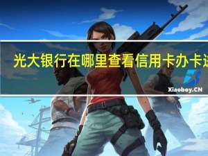 光大银行在哪里查看信用卡办卡进度（广发信用卡怎么查办卡进度）