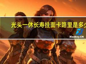 光头 一休长寿挂面卡路里是多少