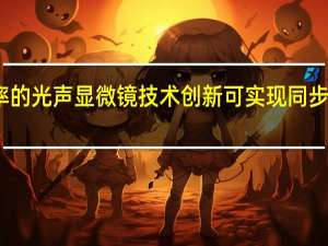 光学分辨率的光声显微镜技术创新可实现同步的多对比度成像