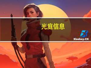 光庭信息：公司目前暂未与理想汽车有业务合作