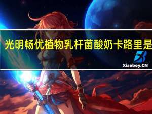 光明 畅优植物乳杆菌酸奶卡路里是多少