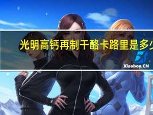 光明 高钙再制干酪卡路里是多少