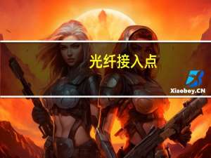 光纤接入点（光纤接入）