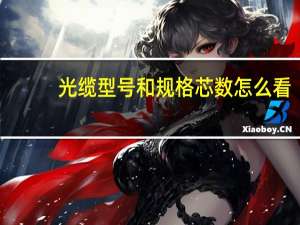 光缆型号和规格芯数怎么看