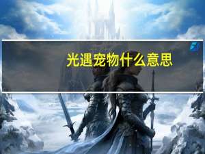 光遇宠物什么意思