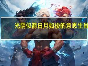 光阴似箭日月如梭的意思生肖（光阴似箭日月如梭的意思）