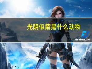 光阴似箭是什么动物