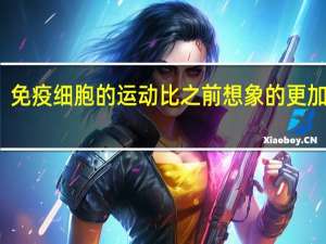免疫细胞的运动比之前想象的更加独立