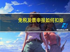 免税发票申报如何扣除