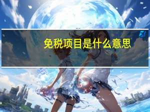 免税项目是什么意思