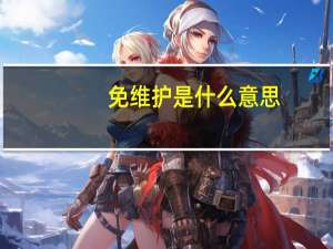 免维护是什么意思