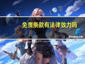 免责条款有法律效力吗