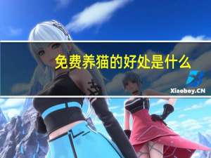 免费养猫的好处是什么