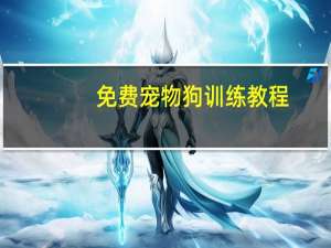 免费宠物狗训练教程