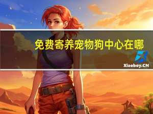 免费寄养宠物狗中心在哪