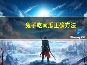 兔子吃南瓜正确方法