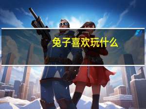 兔子喜欢玩什么