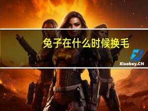 兔子在什么时候换毛