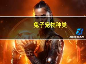 兔子宠物种类