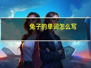 兔子的单词怎么写