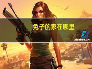 兔子的家在哪里