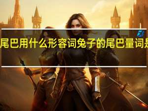 兔子的尾巴用什么形容词 兔子的尾巴量词是一什么尾巴