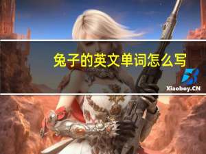 兔子的英文单词怎么写