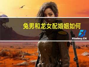 兔男和龙女配婚姻如何