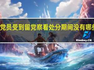 党员受到留党察看处分期间没有哪些权利（党员受到留党察看处分 其党内职务____）