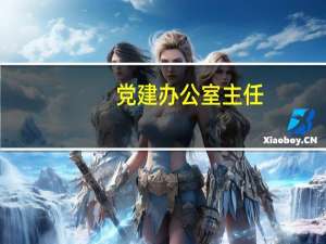 党建办公室主任