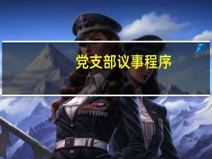 党支部议事程序