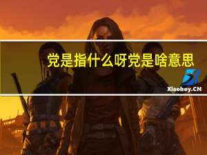 党是指什么呀 党是啥意思
