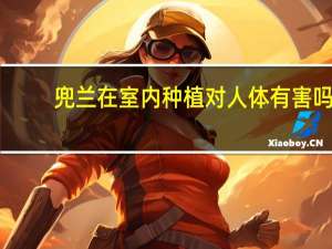 兜兰在室内种植对人体有害吗