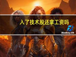 入了技术股还拿工资吗